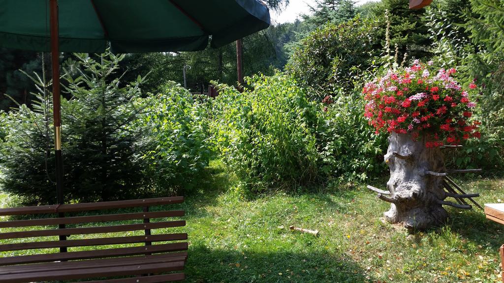 Pokoje Na Skalicy Ustron Bagian luar foto