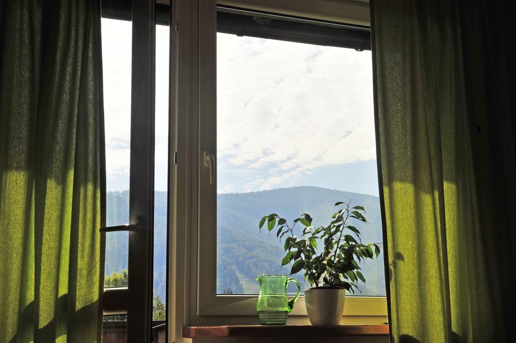 Pokoje Na Skalicy Ustron Ruang foto