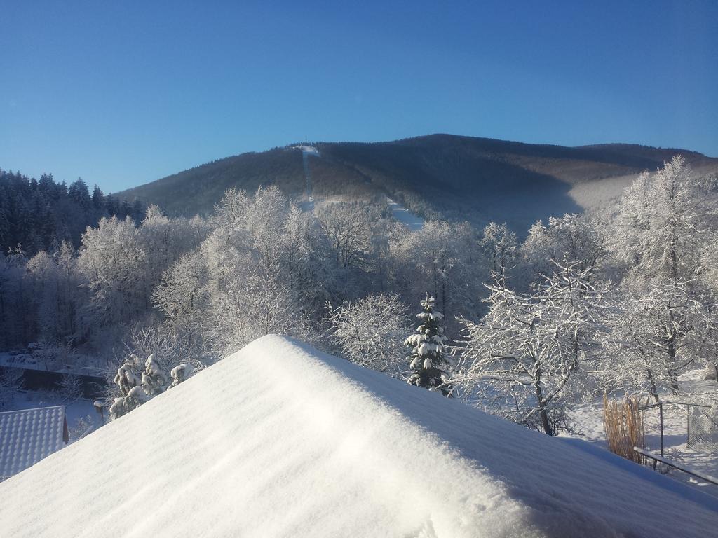 Pokoje Na Skalicy Ustron Bagian luar foto